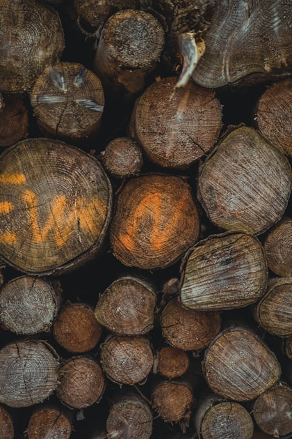 Sustainable Wood: A Guide for Crafters